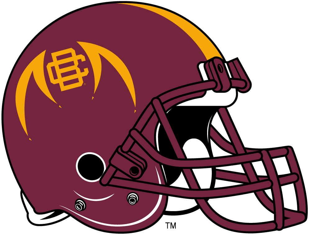 Bethune-Cookman Wildcats 2010-2015 Helmet Logo 02 vinyl decal